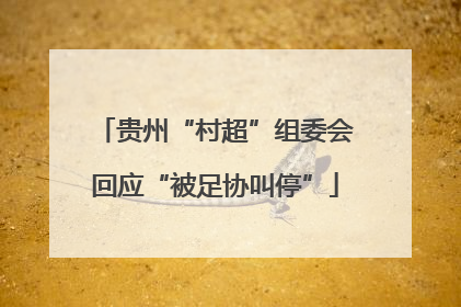 贵州“村超”组委会回应“被足协叫停”