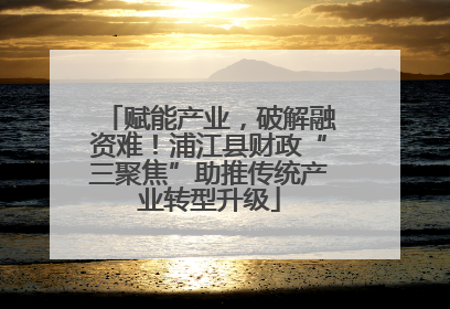 赋能产业，破解融资难！浦江县财政“三聚焦”助推传统产业转型升级