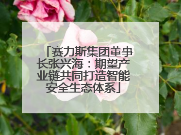 赛力斯集团董事长张兴海：期望产业链共同打造智能安全生态体系