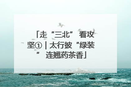 走“三北” 看攻坚①｜太行披“绿装” 连翘药茶香