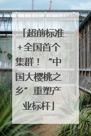 超前标准+全国首个集群！“中国大樱桃之乡”重塑产业标杆