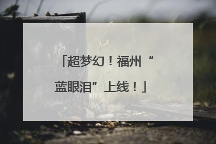 超梦幻！福州“蓝眼泪”上线！
