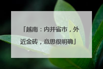 越南：内并省市，外近金砖，意思很明确