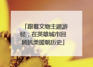 跟着文物主题游径，在英雄城市回顾抗美援朝历史
