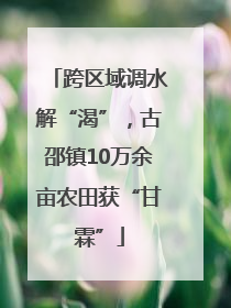 跨区域调水解“渴”，古邵镇10万余亩农田获“甘霖”