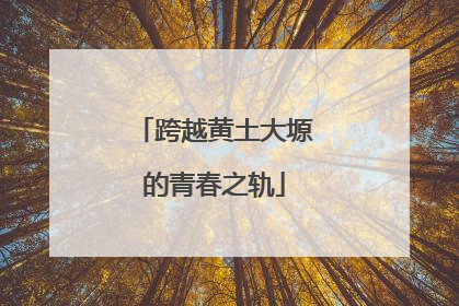 跨越黄土大塬的青春之轨