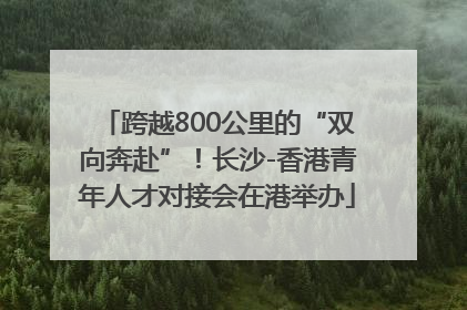 跨越800公里的“双向奔赴”！长沙-香港青年人才对接会在港举办