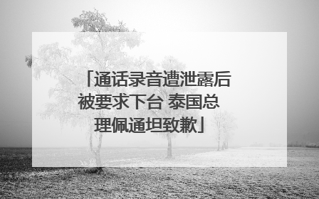 通话录音遭泄露后被要求下台 泰国总理佩通坦致歉