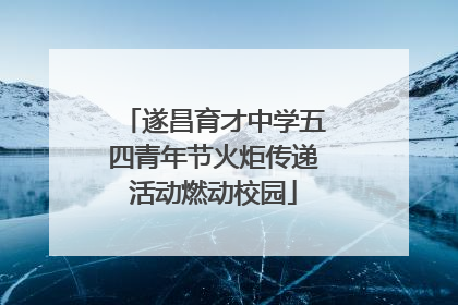 遂昌育才中学五四青年节火炬传递活动燃动校园