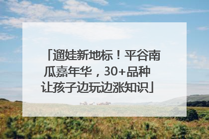 遛娃新地标！平谷南瓜嘉年华，30+品种让孩子边玩边涨知识
