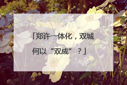 郑许一体化，双城何以“双成”？
