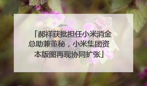 郝祥获批担任小米消金总助兼董秘，小米集团资本版图再现协同扩张