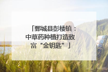 鄄城县彭楼镇：中草药种植打造致富“金钥匙”