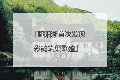 鄱阳湖首次发现彩鹮筑巢繁殖