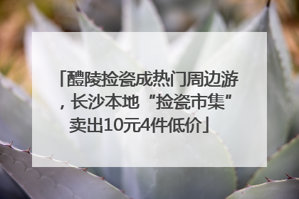 醴陵捡瓷成热门周边游，长沙本地“捡瓷市集”卖出10元4件低价