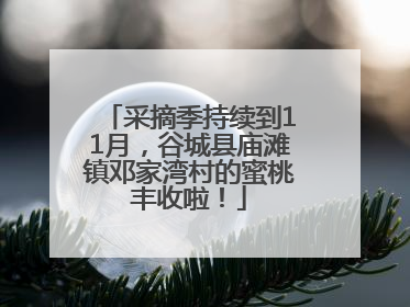 采摘季持续到11月，谷城县庙滩镇邓家湾村的蜜桃丰收啦！