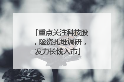 重点关注科技股，险资扎堆调研，发力长钱入市