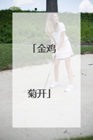 金鸡菊开