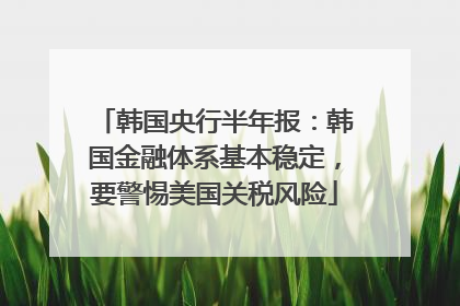 韩国央行半年报：韩国金融体系基本稳定，要警惕美国关税风险