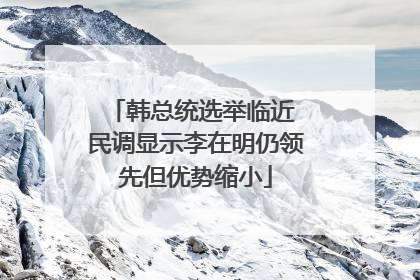韩总统选举临近 民调显示李在明仍领先但优势缩小