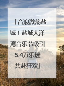 音浪激荡盐城！盐城大洋湾音乐节吸引5.4万乐迷共赴狂欢