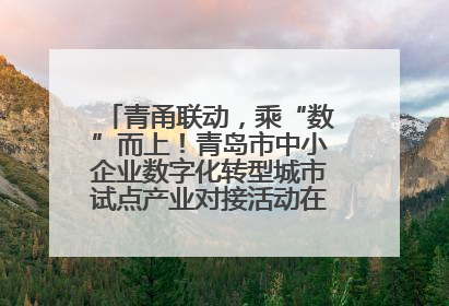 青甬联动，乘“数”而上！青岛市中小企业数字化转型城市试点产业对接活动在宁波开班