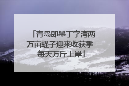 青岛即墨丁字湾两万亩蛏子迎来收获季 每天万斤上岸