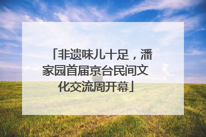 非遗味儿十足，潘家园首届京台民间文化交流周开幕