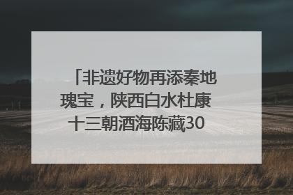 非遗好物再添秦地瑰宝，陕西白水杜康十三朝酒海陈藏30年别具一格