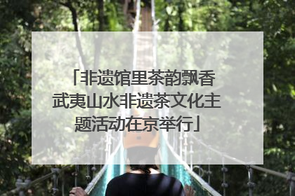 非遗馆里茶韵飘香 武夷山水非遗茶文化主题活动在京举行