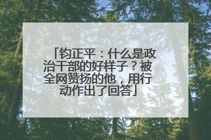 钧正平：什么是政治干部的好样子？被全网赞扬的他，用行动作出了回答