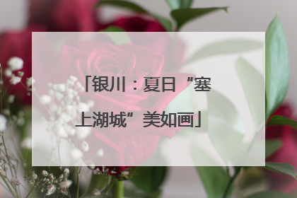 银川：夏日“塞上湖城”美如画