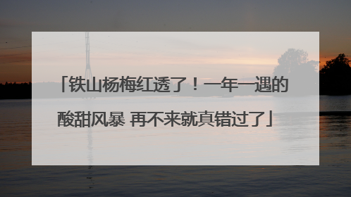 铁山杨梅红透了！一年一遇的酸甜风暴 再不来就真错过了