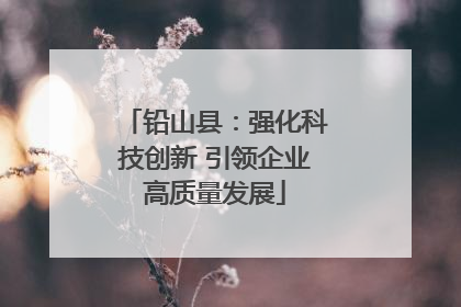铅山县：强化科技创新 引领企业高质量发展