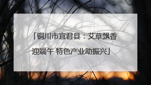 铜川市宜君县：艾草飘香迎端午 特色产业助振兴