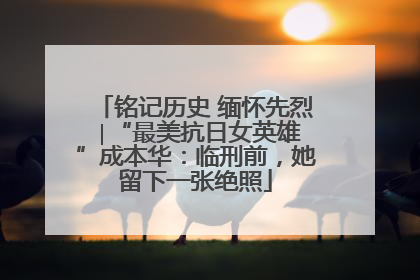 铭记历史 缅怀先烈 ∣“最美抗日女英雄”成本华：临刑前，她留下一张绝照