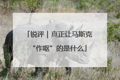 锐评｜真正让马斯克“作呕”的是什么