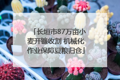 长垣市87万亩小麦开镰收割 机械化作业保障夏粮归仓
