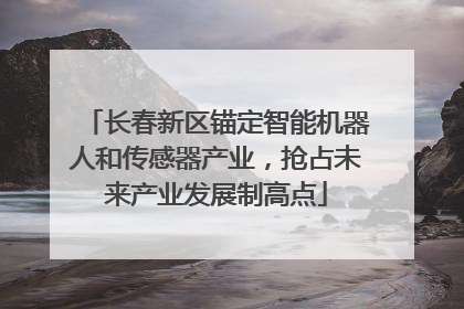 长春新区锚定智能机器人和传感器产业，抢占未来产业发展制高点