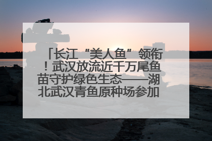 长江“美人鱼”领衔！武汉放流近千万尾鱼苗守护绿色生态——湖北武汉青鱼原种场参加2025年“全国放鱼日”增殖放流活动