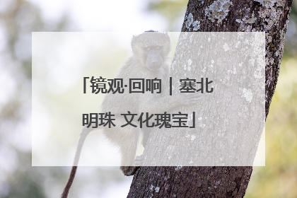 镜观·回响｜塞北明珠 文化瑰宝