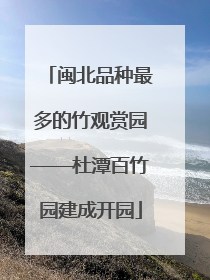 闽北品种最多的竹观赏园——杜潭百竹园建成开园