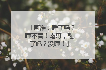 阿淮，睡了吗？睡不着！南哥，醒了吗？没睡！