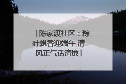 陈家渡社区：粽叶飘香迎端午 清风正气话清廉