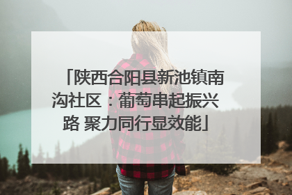陕西合阳县新池镇南沟社区：葡萄串起振兴路 聚力同行显效能