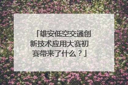 雄安低空交通创新技术应用大赛初赛带来了什么？