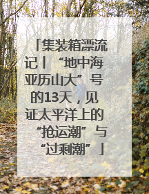 集装箱漂流记丨“地中海亚历山大”号的13天，见证太平洋上的“抢运潮”与“过剩潮”