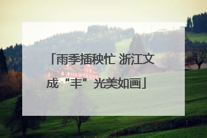 雨季插秧忙 浙江文成“丰”光美如画