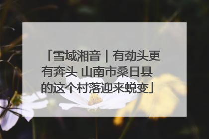 雪域湘音｜有劲头更有奔头 山南市桑日县的这个村落迎来蜕变
