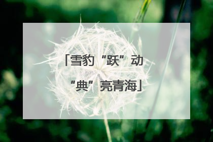 雪豹“跃”动 “典”亮青海